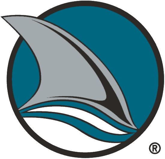 San Jose Sharks 1998-2007 Alternate Logo DIY iron on transfer (heat transfer)